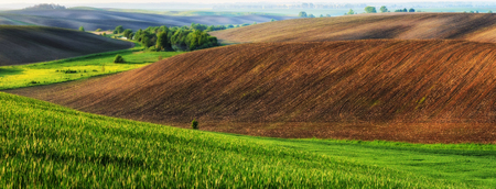 spring field. picturesque hilly field. agricultural field in springの写真素材