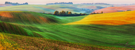 picturesque hilly field. green wavy field. Agricultureの写真素材
