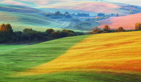 picturesque hilly field. green wavy field. Agricultureの写真素材