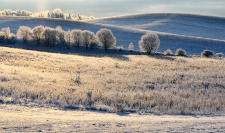 frosty winter evening. picturesque winter landscapeの写真素材