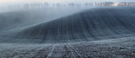frosty winter evening. picturesque winter landscapeの写真素材