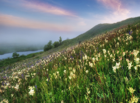 foggy spring morning. the picturesque spring sunriseの写真素材