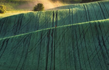 hilly field. a tourist walks around the field. woman admires the beauty of natureの写真素材