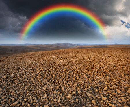 rainbow over the field. picturesque hilly fieldの写真素材