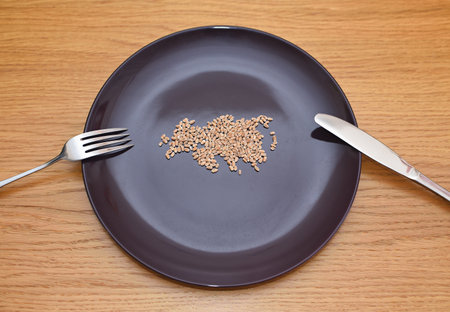 Wheat on a plate is laid out in the shape of a map of Eurasia. food conceptの写真素材
