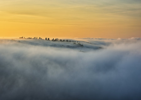 Trees in the Fog. autumn morning. Nature of Ukraineの写真素材