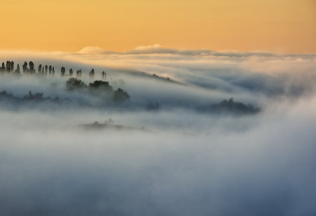 Trees in the Fog. autumn morning. Nature of Ukraineの写真素材