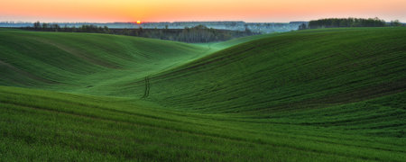 Panoramic landscape with beautiful green hills. abstract landscape. Nature of Ukraineの写真素材