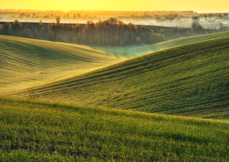 Panoramic landscape with beautiful green hills. abstract landscape. Nature of Ukraineの写真素材