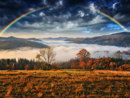 Rainbow over the Mountains. autumn morning in the Carpathians. Nature of Ukraineの写真素材