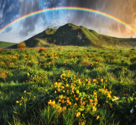 Rainbow over the meadow. picturesque spring morning. nature of Ukraineの写真素材
