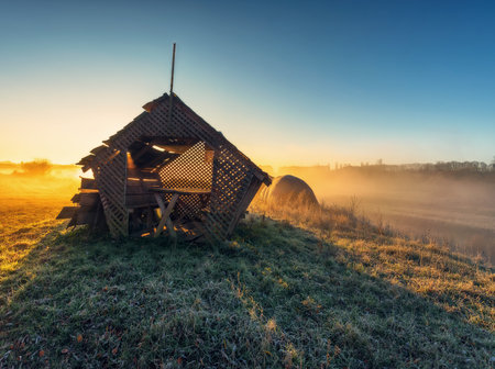 Colorful autumn sunrise on meadow. Foggy morning. Nature of Ukraineの写真素材