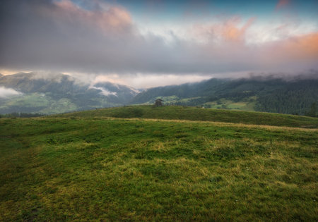 Summer morning in the Carpathian Mountains. Morning fog in the mountains. Nature of Ukraineの写真素材