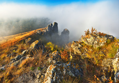 Beautiful autumn landscape at sunrise. picturesque river canyon. nature of Ukraineの写真素材