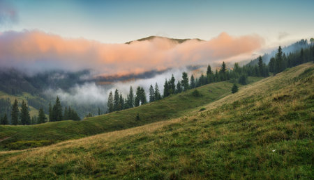 Foggy morning in the mountains. Summer dawn in the Carpathians. Nature of Ukraineの写真素材