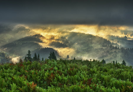silhouettes of morning mountains. foggy morning in the Carpathians. Mountain landscapeの写真素材