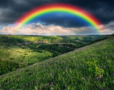 colorful rainbow over the meadow in the morning with grass and flowers. nature of Ukraineの写真素材