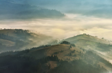 silhouettes of morning mountains. foggy morning in the Carpathians. Mountain landscapeの写真素材