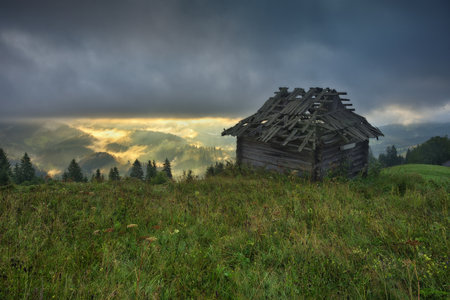 Foggy morning in the mountains. Summer dawn in the Carpathians. Nature of Ukraineの写真素材