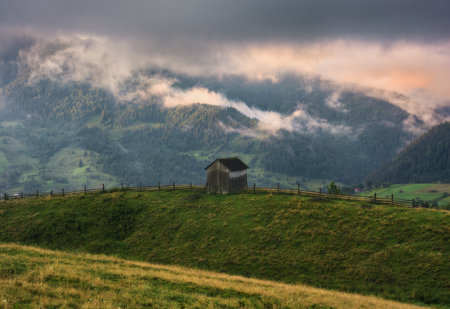 Foggy morning in the mountains. Summer dawn in the Carpathians. Nature of Ukraineの写真素材
