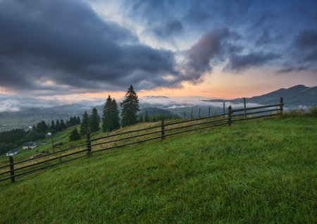 Foggy morning in the mountains. Summer dawn in the Carpathians. Nature of Ukraineの写真素材