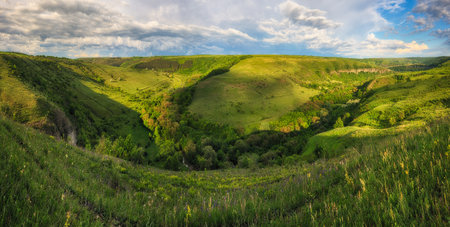 Panoramic view of the green hills in the Ukrainian Carpathiansの写真素材