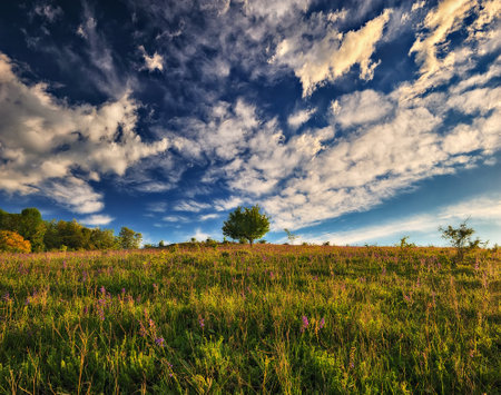 Beautiful summer landscape with green meadow and blue sky with cloudsの写真素材