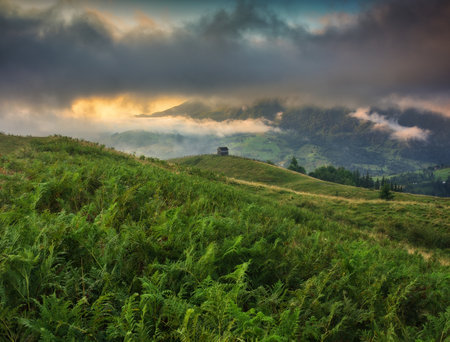 Foggy morning in the Carpathian mountains, Ukraine.の写真素材