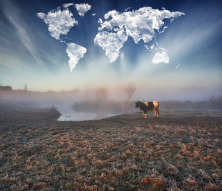 Foggy landscape with a cow and clouds in the sky.の写真素材