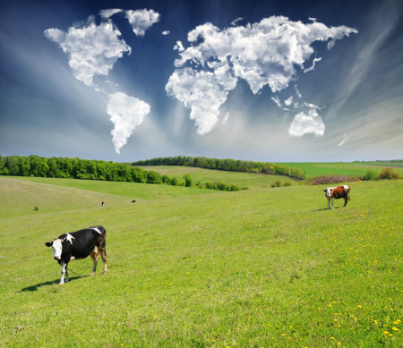 Conceptual landscape: cumulus clouds shaped like a world map float over a green meadow on a clear morningの写真素材