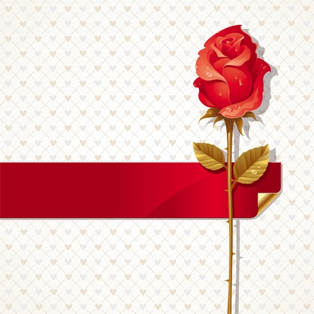 Vector Valentines illustration with Red rose and ribbonのイラスト素材
