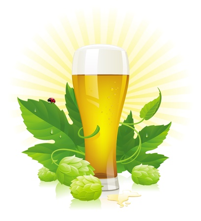 Vector glass of beer, hop  and leavesのイラスト素材