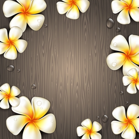 Frangipani tropical flowers and water drops on a wooden background - vector illustrationのイラスト素材