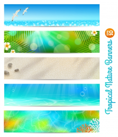 Travel and vacation banners with tropical naturesのイラスト素材