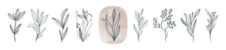 Set of line art flowers and plants. Hand drawn botanical illustration. Boho style floral design elements. Vector.のイラスト素材