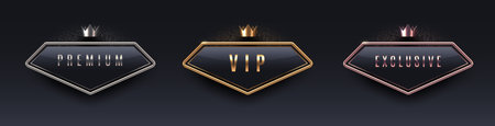 VIP, premium and exclusive sign with 3d metal frame and crown. Golden, silver and bronze metallic luxury sign on black background. Vector set.のイラスト素材