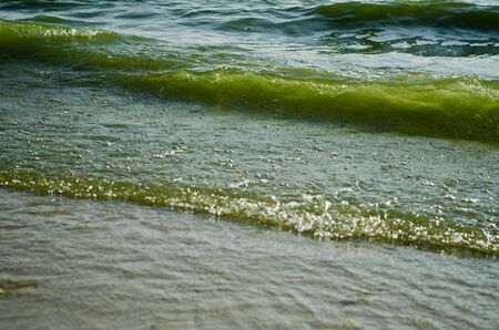 Sea water waves run on sandy beachの写真素材
