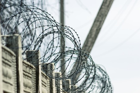 barbed wire against evening skyの写真素材