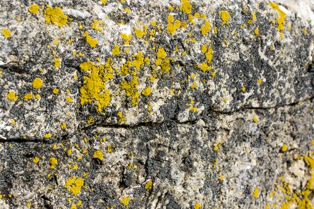 old concrete wall with yellow spotsの写真素材