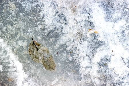 Ice patterns with frozen autumn leaf. Fallen leaf covered ice.の写真素材