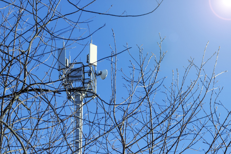 Communication antenna behind the treesの写真素材