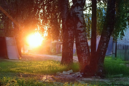 evening sun shines in the village