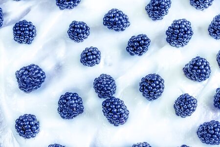 Blackberries on a white background with creamの写真素材