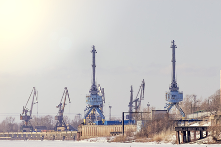 View on river with cranes at winterの写真素材