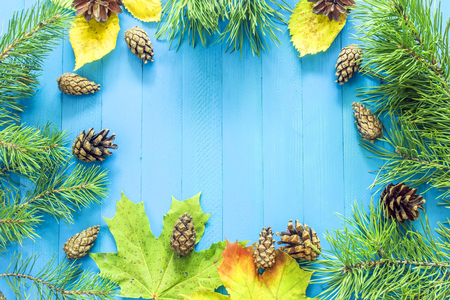 Autumn background. Maple Leaves, needles, pine, pine cones, yellow leaves on a blue backgroundの写真素材