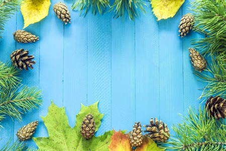 Autumn background. Maple Leaves, needles, pine, pine cones, yellow leaves on a blue backgroundの写真素材