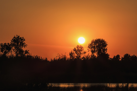 Russian trees at sunsetの写真素材