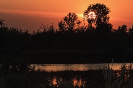 Russian trees at sunsetの写真素材