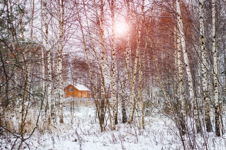 Winter landscape on a sunny day, snow on treesの写真素材