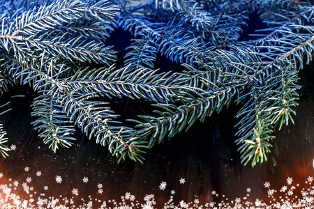 Christmas background. Spruce branch on the wooden background with the light of candlesの写真素材